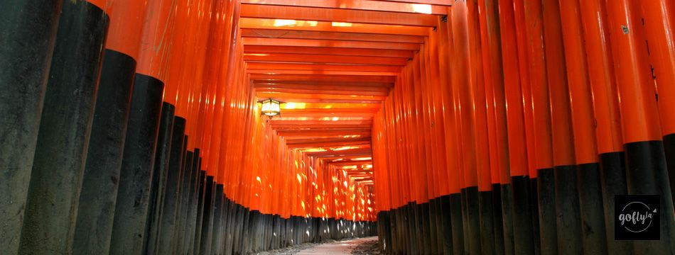 大阪自由行-大阪景點-京都自由行-京都景點-日光日白時的千本鳥居圖片來源伏見稻荷大社官方網站